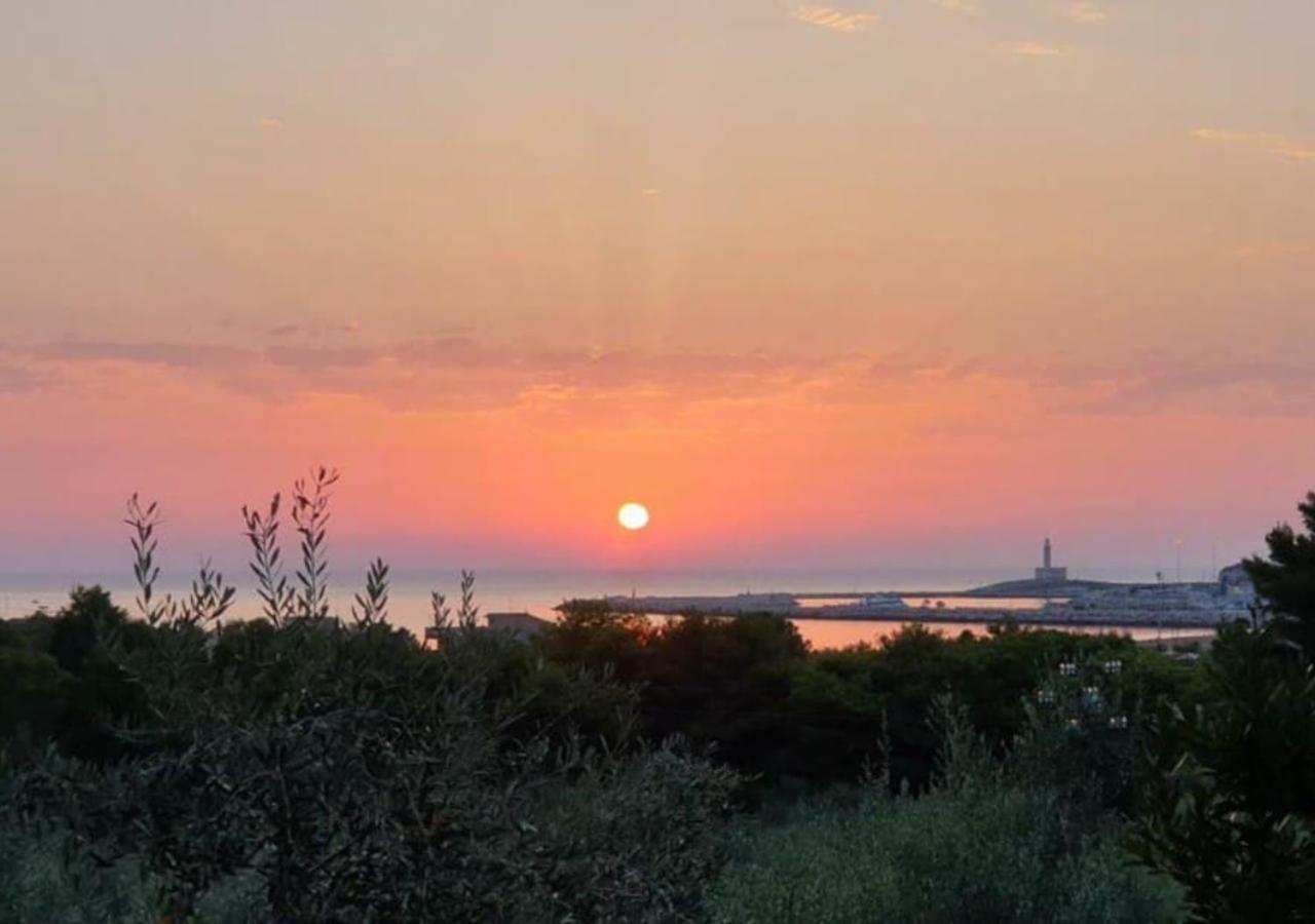 Hotel Delle More Vieste Dış mekan fotoğraf