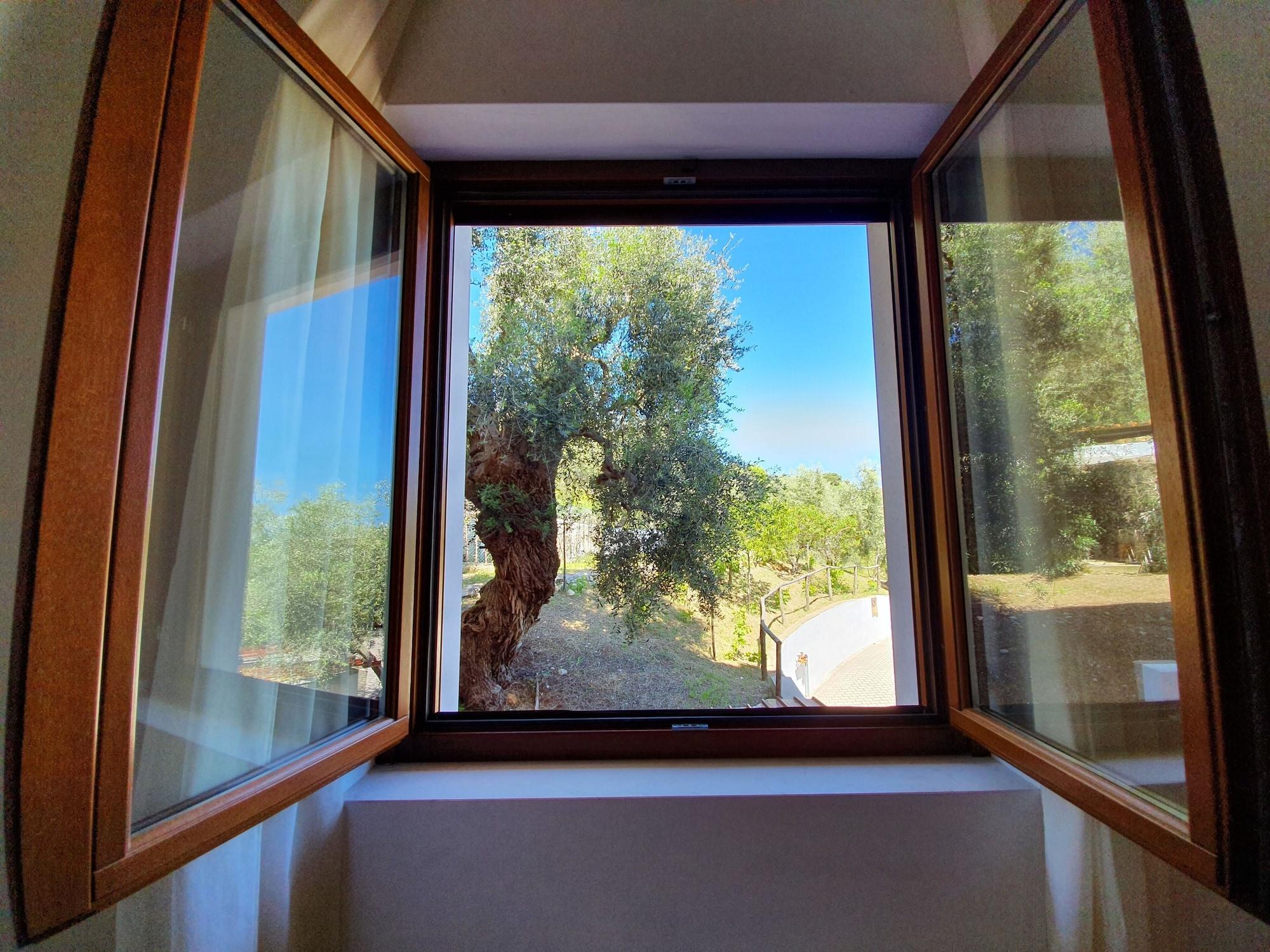 Hotel Delle More Vieste Dış mekan fotoğraf