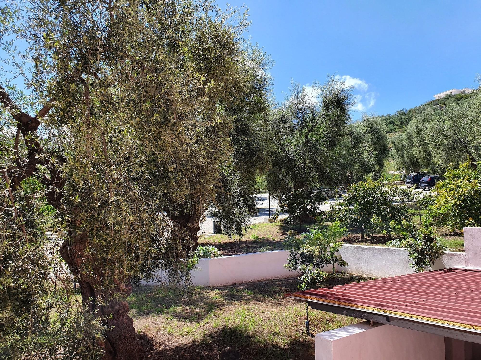 Hotel Delle More Vieste Dış mekan fotoğraf